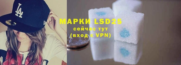 ПСИЛОЦИБИНОВЫЕ ГРИБЫ Нея