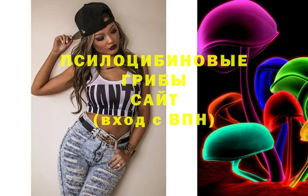 спиды Болхов