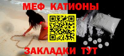 стаф Гатчина