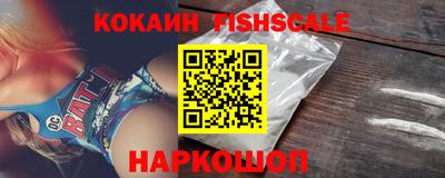 стаф Гатчина