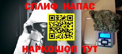 стаф Гатчина