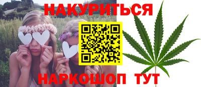 стаф Гатчина