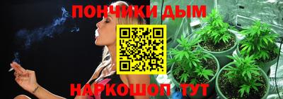 стаф Гатчина