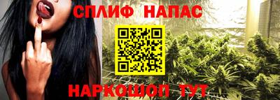 стаф Гатчина