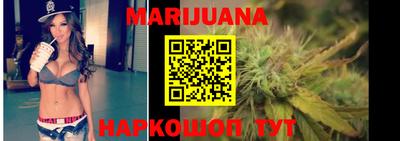 стаф Гатчина