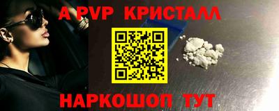 стаф Гатчина