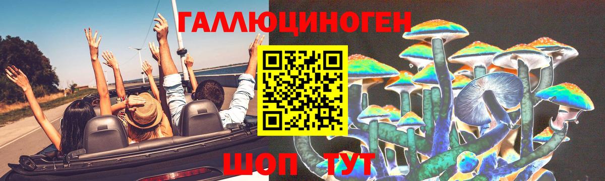 где купить   Кизляр  Псилоцибиновые грибы мухоморы  Псилоцибиновые грибы мухоморы 