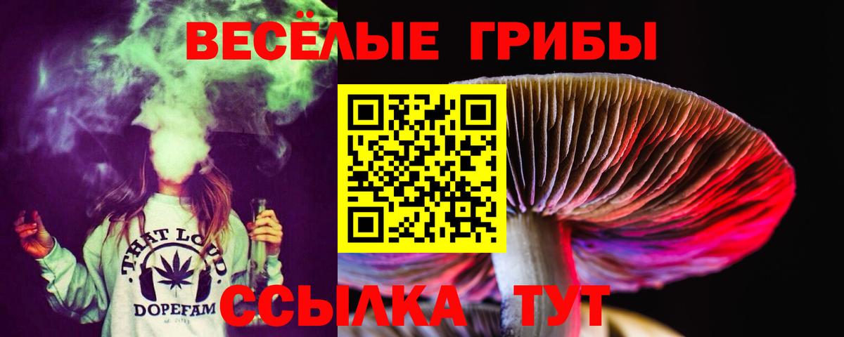 купить наркоту  Псилоцибиновые грибы GOLDEN TEACHER  Кизляр  Вход с VPN  Галлюциногенные грибы Psilocybe 